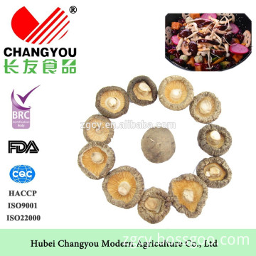 Edible high qualitity Dried smooth Shiitake Mushroom